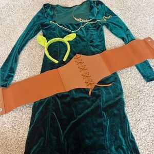 Shrek Fiona Costume
